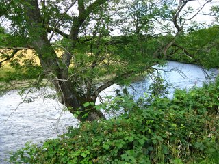Idylle pur - Fluss nahe Doune Castle