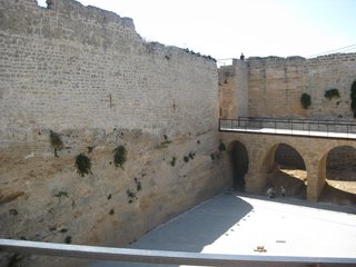 Alcudia
